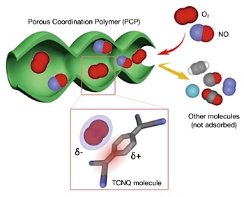 Porous coordination polymer