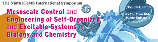 Eighth iCeMS International Symposium