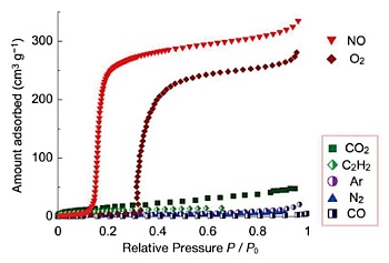 PCP graph